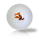 Anteater Having a Pizza Golf Balls Used Golf Balls - The Golf Ball Company
