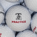 Bulk NEW Titleist NXT Tour Practice Range Balls Used Golf Balls - Foundgolfballs.com