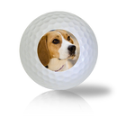 Beagle Golf Balls Used Golf Balls - The Golf Ball Company