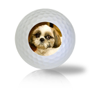 Shih Tzu Golf Balls Used Golf Balls - The Golf Ball Company