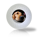 Sleepy Dog Golf Balls Used Golf Balls - The Golf Ball Company