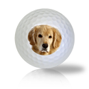 Golden Retriever Golf Balls Used Golf Balls - The Golf Ball Company