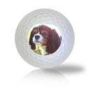 King Charles Spaniel Golf Balls Used Golf Balls - The Golf Ball Company