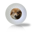 Pomeranian Golf Balls Used Golf Balls - The Golf Ball Company
