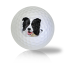 Border Collie Golf Balls Used Golf Balls - The Golf Ball Company