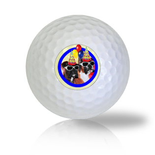 Cute Birthday Boxers in Party Hats Golf Balls Used Golf Balls - The Golf Ball Company