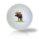 Moose Golf Balls Used Golf Balls - The Golf Ball Company