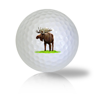 Moose Golf Balls Used Golf Balls - The Golf Ball Company