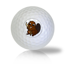 Beaver Golf Balls Used Golf Balls - The Golf Ball Company
