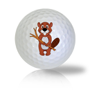 Beaver Golf Balls Used Golf Balls - The Golf Ball Company