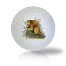 Beaver Golf Balls Used Golf Balls - The Golf Ball Company