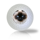 Birman Cat Golf Balls Used Golf Balls - The Golf Ball Company