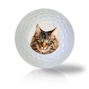 Maine Coon Cat Golf Balls Used Golf Balls - The Golf Ball Company