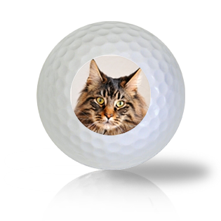 Maine Coon Cat Golf Balls Used Golf Balls - The Golf Ball Company