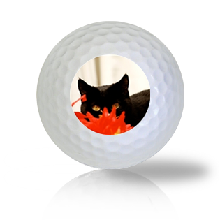 Ninja Cat Golf Balls Used Golf Balls - The Golf Ball Company
