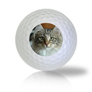 Norwegian Forest Cat Golf Balls Used Golf Balls - The Golf Ball Company