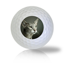 Oriental Cat Golf Balls Used Golf Balls - The Golf Ball Company