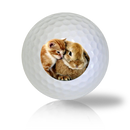 Cat Golf Balls Used Golf Balls - The Golf Ball Company