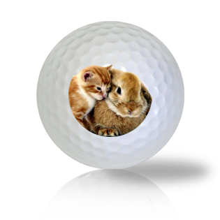 Cat Golf Balls Used Golf Balls - The Golf Ball Company