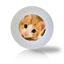 Cat Golf Balls Used Golf Balls - The Golf Ball Company