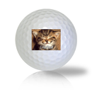 Cat Golf Balls Used Golf Balls - The Golf Ball Company