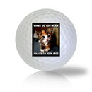 Cat Golf Balls Used Golf Balls - The Golf Ball Company