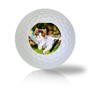 Cat Golf Balls Used Golf Balls - The Golf Ball Company