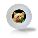 Cat Golf Balls Used Golf Balls - The Golf Ball Company
