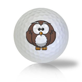 Cute Sitting Owl Golf Balls Used Golf Balls - The Golf Ball Company