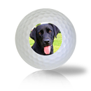 Black Lab Golf Balls Used Golf Balls - The Golf Ball Company