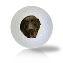 Chocolate Lab Golf Balls Used Golf Balls - The Golf Ball Company