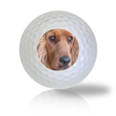 Cocker Spaniel Golf Balls Used Golf Balls - The Golf Ball Company