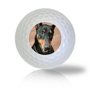Doberman Golf Balls Used Golf Balls - The Golf Ball Company