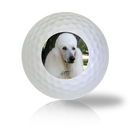 French Poodle Golf Balls Used Golf Balls - The Golf Ball Company