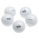 Noodle Mix Used Golf Balls - The Golf Ball Company